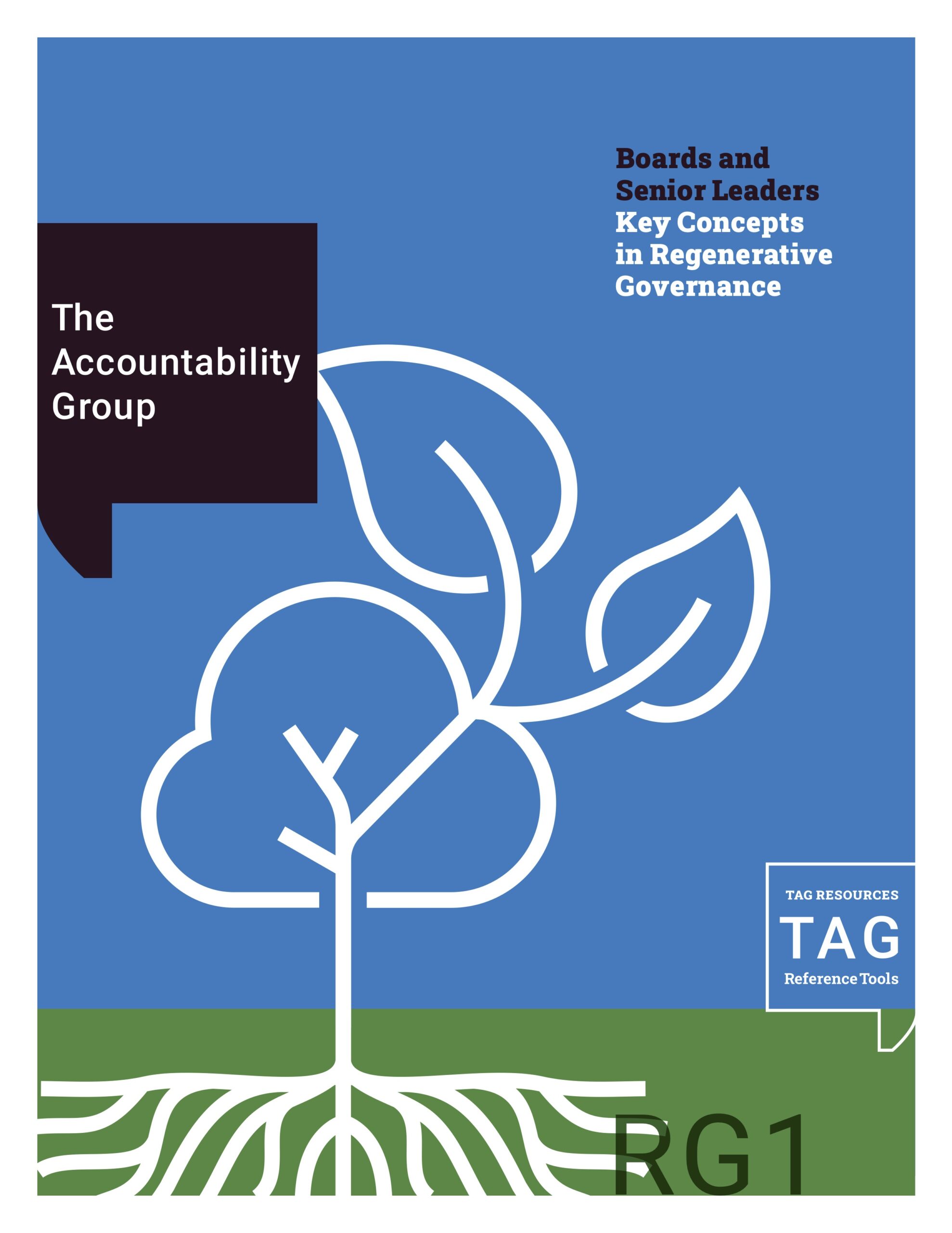 TAG - Key Concepts in Regenerative Governance